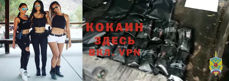 дарнет шоп  Калачинск  Cocaine VHQ 